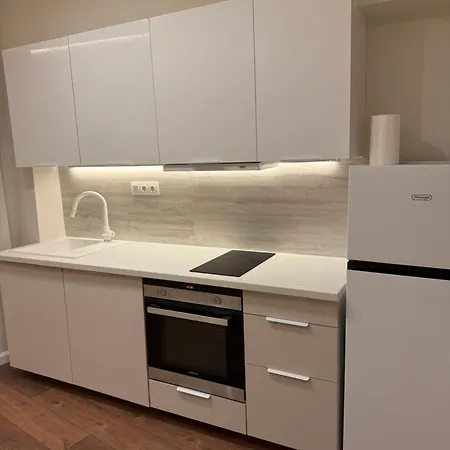 Bk Urban Living 公寓 卡泰里尼